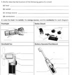 Microscope Drawing Worksheet At Paintingvalley  Explore Together With Measuring With A Microscope Worksheet