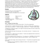 Microscope Lab With Measurement Part In Measuring With A Microscope Worksheet