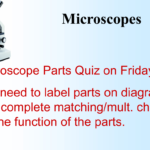 Microscope Parts And Function Regarding Microscope Parts And Use Worksheet Answer Key