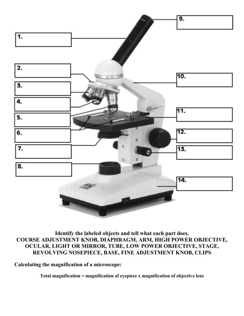 Microscope Parts And Functions Together With Parts Of A Microscope Worksheet Answers