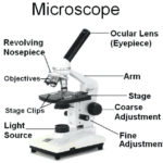 Microscope Parts Sketch At Paintingvalley  Explore Collection Along With Parts Of A Microscope Worksheet Answers