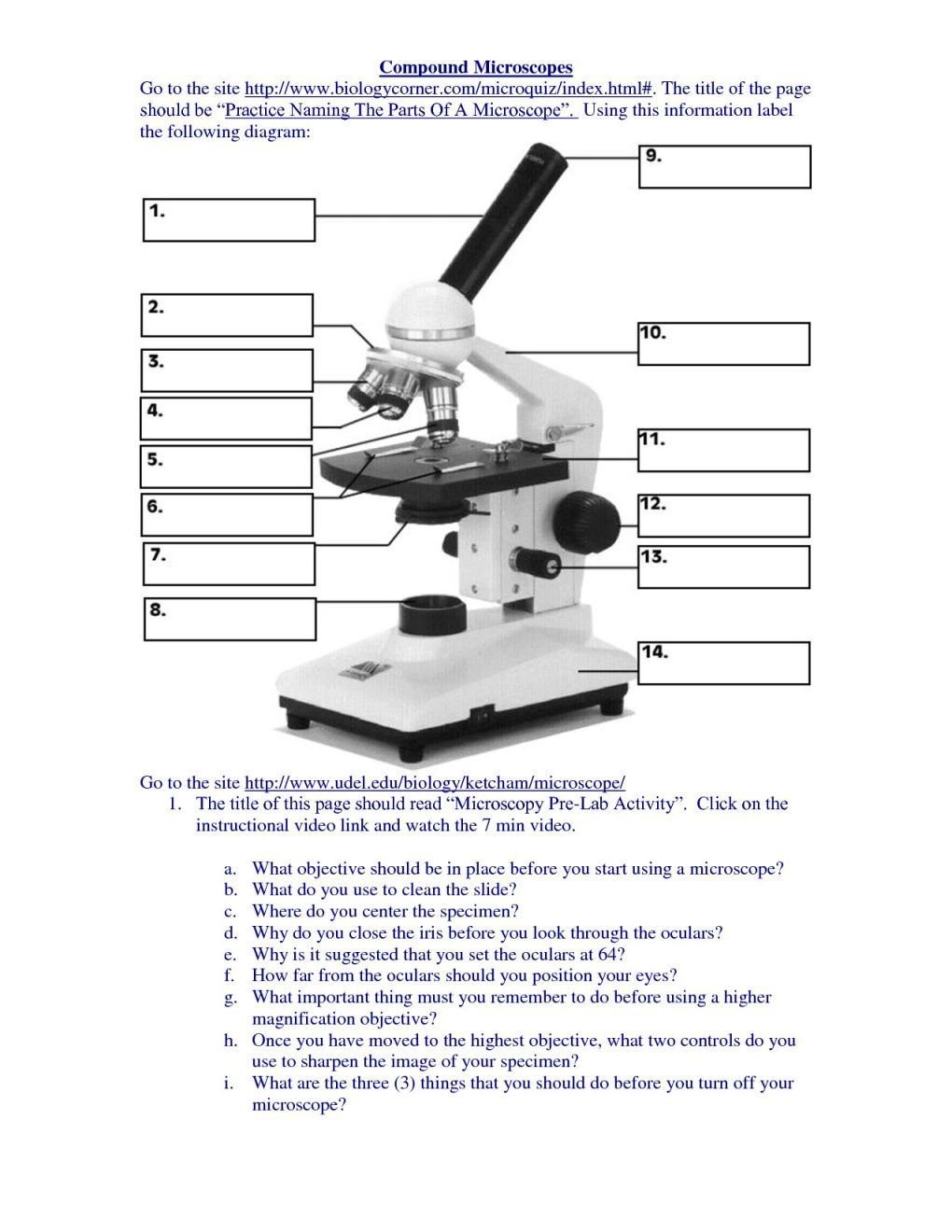 Microscope Parts Worksheet Excel Worksheet Prime Factorization For Using A Microscope Worksheet