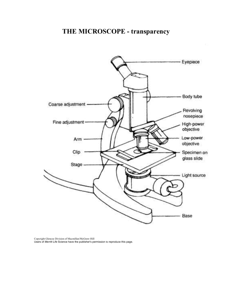 Microscope Worksheet With Optical Microscopes Worksheet