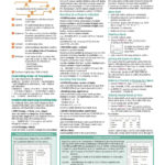 Microsoft Excel 2013 Functions & Formulas Quick Reference Card (4 ... As Well As Excel Spreadsheet Formulas