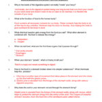 Microsoft Word  Gqwbillnye Digestiondoc Or Bill Nye Chemical Reactions Worksheet Answers