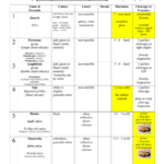 Mineral Identification Data Sheet 1 Throughout Mineral Identification Worksheet