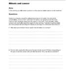 Mitosis And Cancer Aims In This Activity You Will Answer Questions On Within Immortal Cancer Cells Worksheet Answers