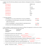 Mixtures Worksheet As Well As Chemistry Worksheet Types Of Mixtures Answers