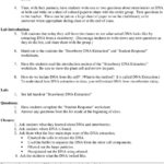 Module 3 Strawberry Dna Extraction  Pdf With Strawberry Dna Extraction Lab Worksheet