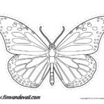 Monarch Butterfly Outline  Tim's Printables Or Monarch Butterfly Worksheets