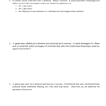 More Monohybrid Cross Problems 28 Intended For Monohybrid Cross Problems 2 Worksheet With Answers