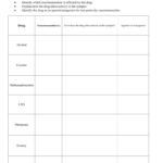 Mouse Party Drugs And Neurotransmitters In Mouse Party Worksheet Answers