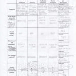 Mouse Party Worksheet Answers  Briefencounters Inside Mouse Party Worksheet Answers