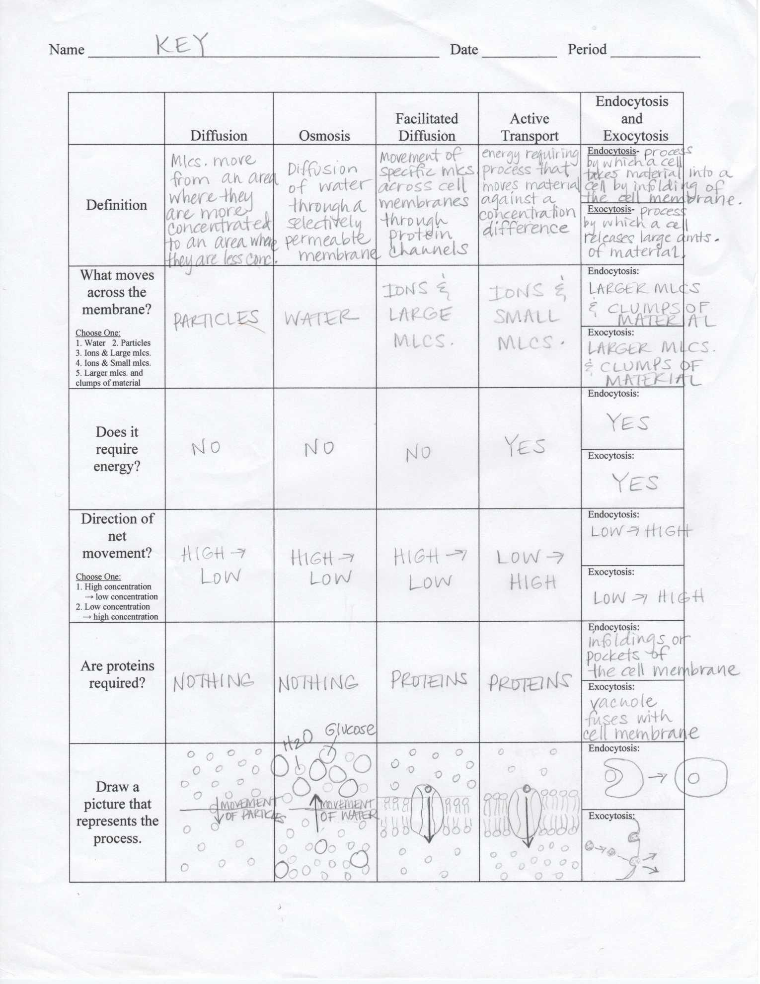 Mouse Party Worksheet Answers  Briefencounters Inside Mouse Party Worksheet Answers