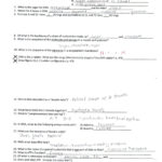 Ms Ghtaura's Class  Science Class  Page 5 Regarding Organic Molecules Worksheet Review Answers