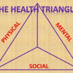 Ms Kelly 6Th Grade Health  Ppt Download Throughout Health Triangle Worksheet