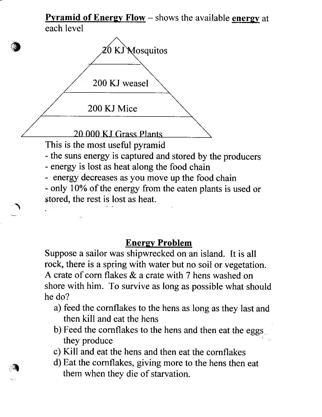 Ms Tostik's Science Page With Bill Nye Biodiversity Worksheet Answers