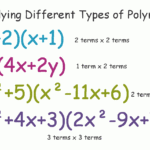Multiply Polynomials With Examples  Foil  Grid Method  Owlcation Regarding Multiplying Polynomials Worksheet Algebra 2
