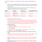 Muscles Worksheet Answers Also Heart Rate Activity Worksheet Answers