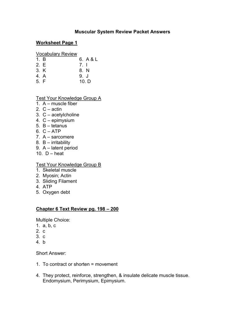 Muscular System Review Packet Answers Intended For Muscular System Worksheet Answers