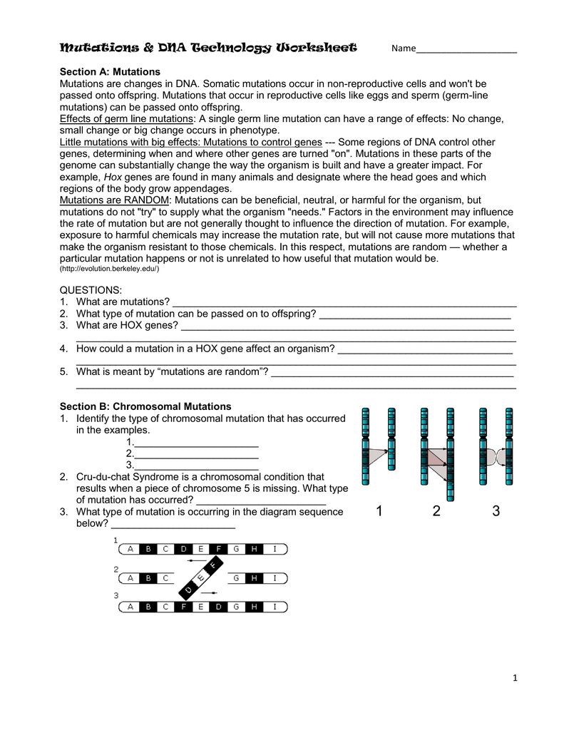 Mutations  Dna Technology Worksheet Regarding Dna Technology Worksheet