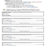 Mutations Worksheet And Types Of Mutations Worksheet