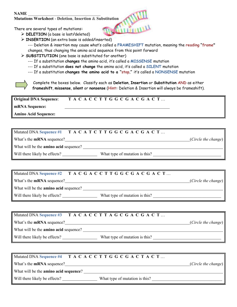 Mutations Worksheet And Types Of Mutations Worksheet