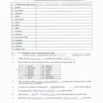 Mutations Worksheet Answer Key  Briefencounters As Well As Dna Mutations Worksheet Answer Key