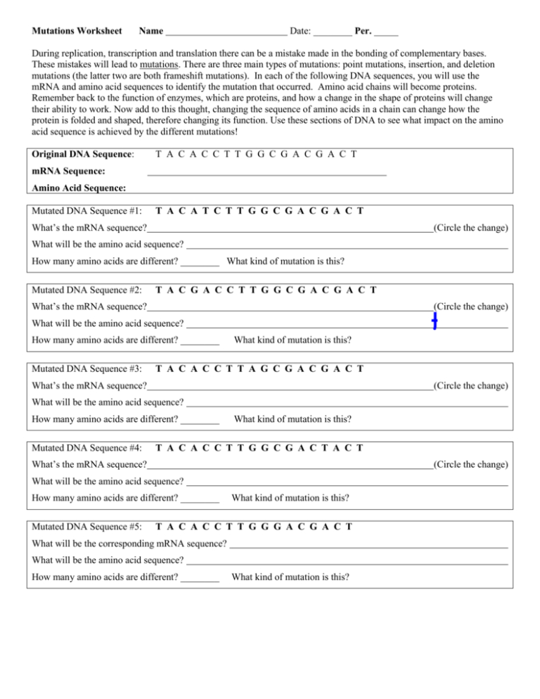 Genetic Mutations Worksheet Answers — excelguider.com