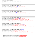 Mutations Worksheet Together With Mutations Worksheet Answer Key