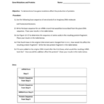 Mutations Worksheet Within Dna Mutations Practice Worksheet Conclusion Answers