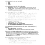 My Ch 35  36 Worksheet Answers Also Plant Structure And Function Worksheet Answers