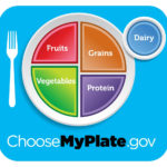Myplate Graphic Resources  Choose Myplate Or My Plate Gov Worksheet
