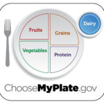 Myplate Graphic Resources Throughout My Plate Gov Worksheet