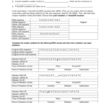 Name Date Mutation Worksheet List The Two Types Of Mutations In Types Of Mutations Worksheet