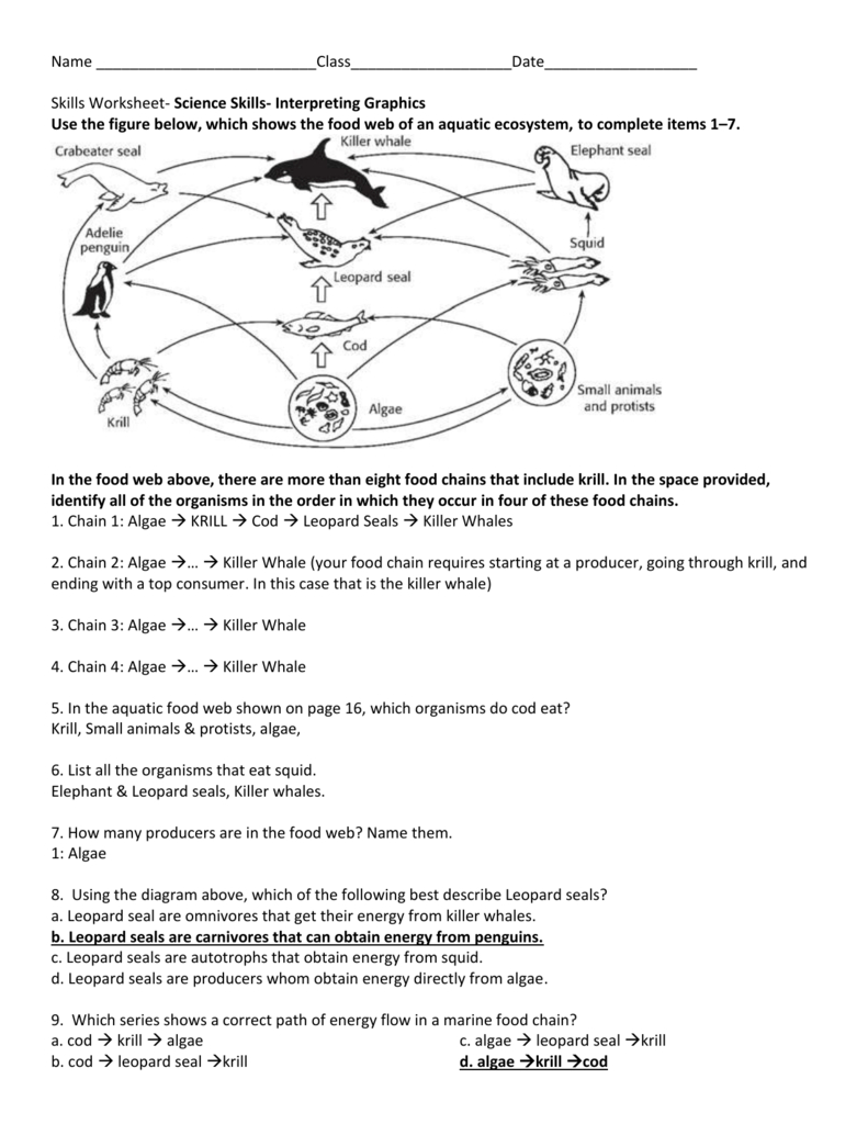 Name Inside Food Chains And Food Webs Skills Worksheet Answers