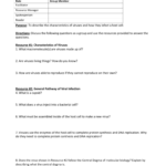 Name Per   Intro To Viruses Group Worksheet Role Group For Characteristics Of Bacteria Worksheet Answers