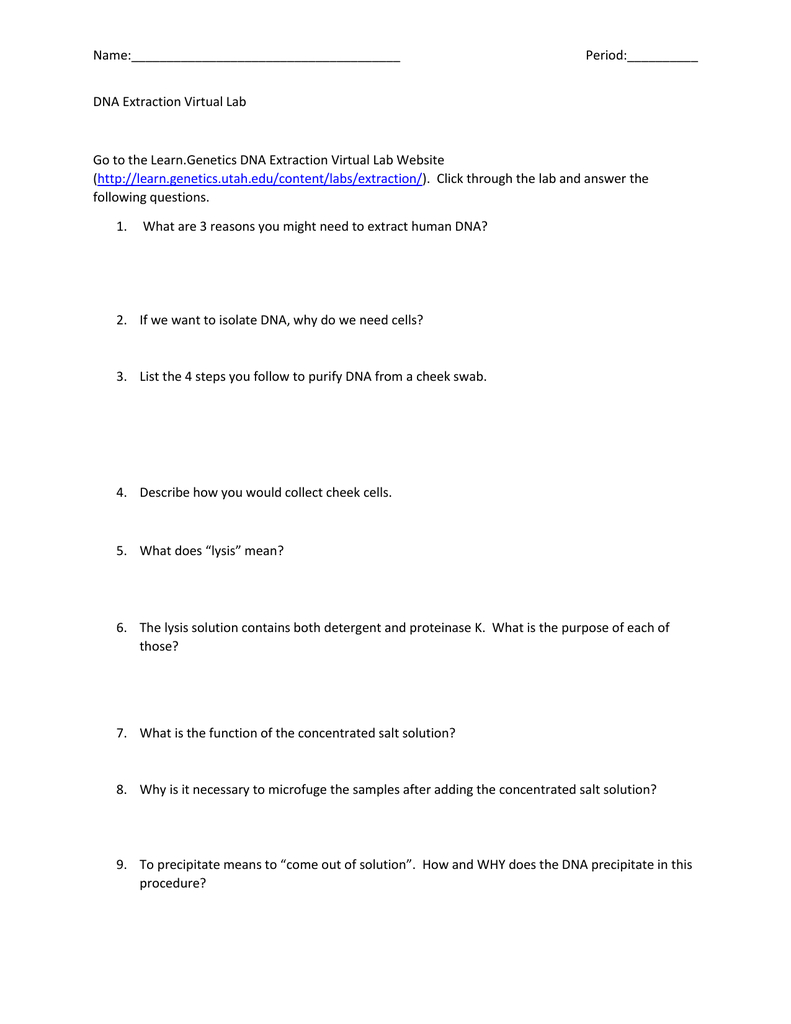 Name Period Dna Extraction Virtual Lab Go To The Learn Throughout Dna Extraction Virtual Lab Worksheet