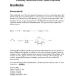 Name Photosynthesis And Cellular Pages 1  6  Text Version  Fliphtml5 Within Photosynthesis And Cellular Respiration Worksheet High School
