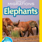 National Geographic Readers Great Migrations Elephants Printables For Animal Migration Super Teacher Worksheets