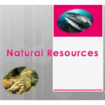 Natural Resources Worksheet  Free Esl Projectable Worksheets Made Along With Natural Resources Worksheets