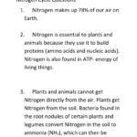 Nitrogen Cycle Homework Answer Key Intended For Nitrogen Cycle Worksheet Answer Key