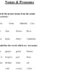 Nouns  Pronouns  1 As Well As Nouns And Pronouns Worksheets