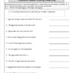 Nouns Worksheets From The Teacher's Guide Also Free Noun Worksheets