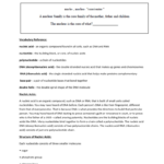 Nucleic Acids Reading Worksheet Vocabulary Reference Nucleic Or Nucleic Acids Worksheet
