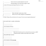 Nutrition Worksheet Along With Nutrition Worksheets For High School