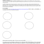 Observing Mitosis Lab Pertaining To Microscope Slide Observation Worksheet