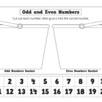Odd And Even Numbers  Cut And Paste Bucket Worksheet  K3 Teacher And Odd And Even Numbers Worksheets