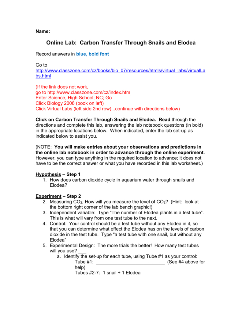 Online Lab Carbon Transfer Through Snails And Elodea Together With Carbon Transfer Through Snails And Elodea Worksheet Answers