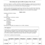 Online Onion Root Tip Assignment For Onion Cell Mitosis Worksheet Key